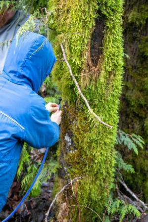 Photo credit: Friend of Cheakamus, Masumi Kikuchi